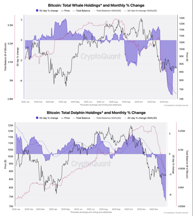 The Bitcoin Whale Comeback Story May Be Overblown, Onchain Data Shows