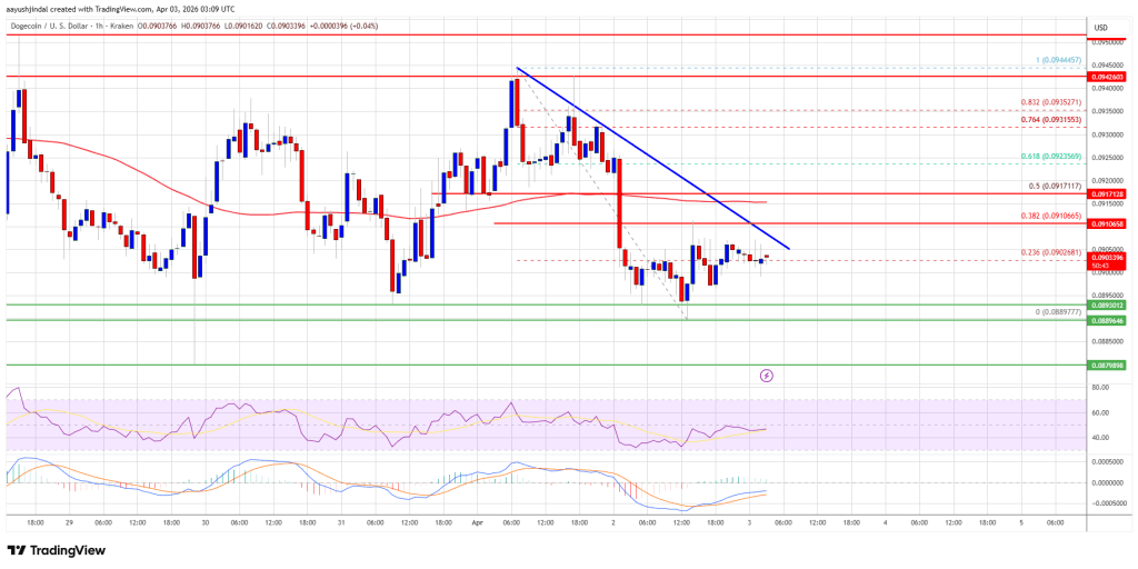 Dogecoin (DOGE) Breakdown Risk Grows, Is a Sharp Decline Next?