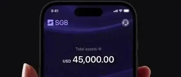 大行与 Crypto 之间，长出了一家 SGB