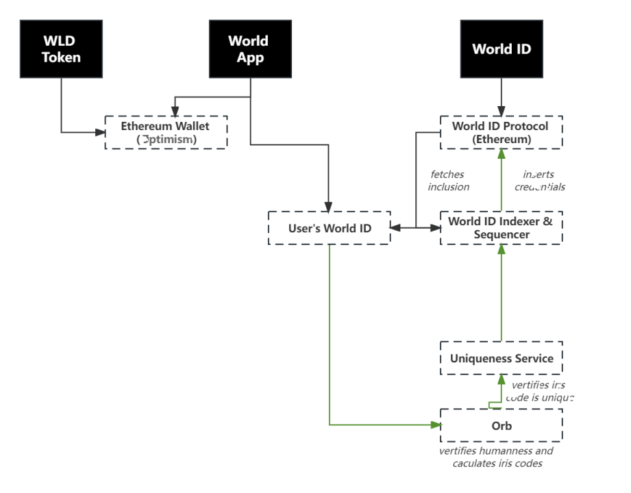 SharkTeam：Worldcoin运营数据及业务安全分析