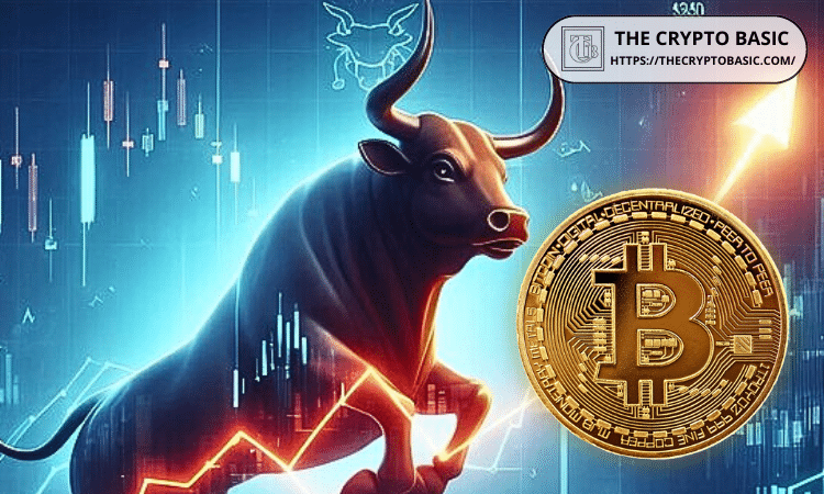 What Is a Crypto Bull Run? Meaning, Signs, and Market Impact Explained