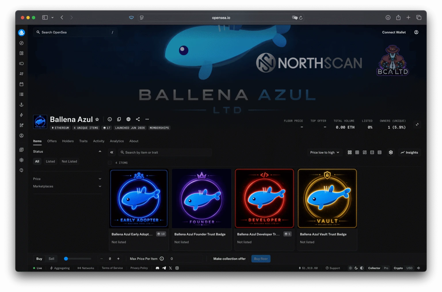 Ballena Azul LTD on OpenSea NFT Marketplace