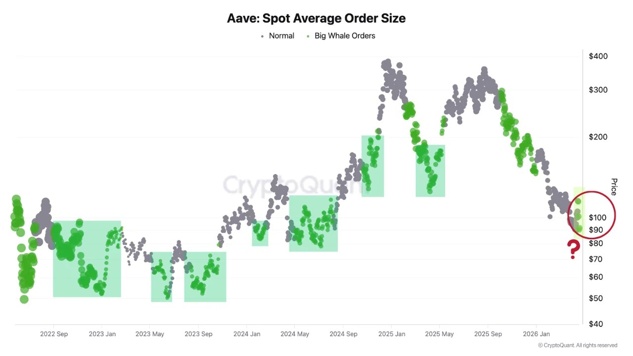 Aave Is Down 18% And Carrying $196M In Bad Debt, But Smart Money Is Buying Anyway