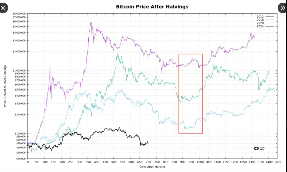 BTC price action after halving