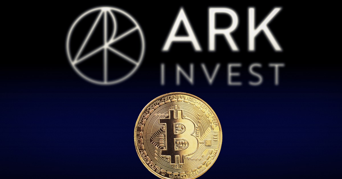 キャシー・ウッド、不安定国の資本流出がビットコイン押し上げると予測　AIとの役割差異を強調