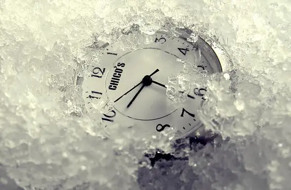 木头姐发言成导火索，币安与 CZ 遭罕见声誉危机