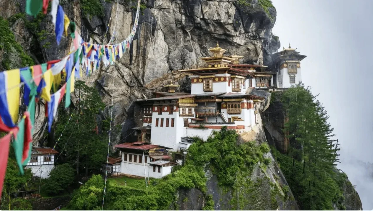 IMF没有杀死比特币