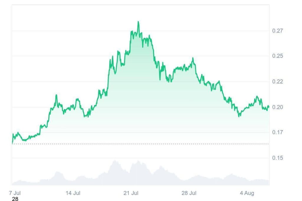 doge usd