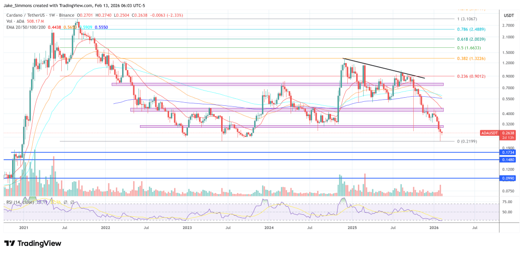 Cardano Founder Hoskinson Warns Of 90-180 Days Of Pain Ahead: Here’s Why