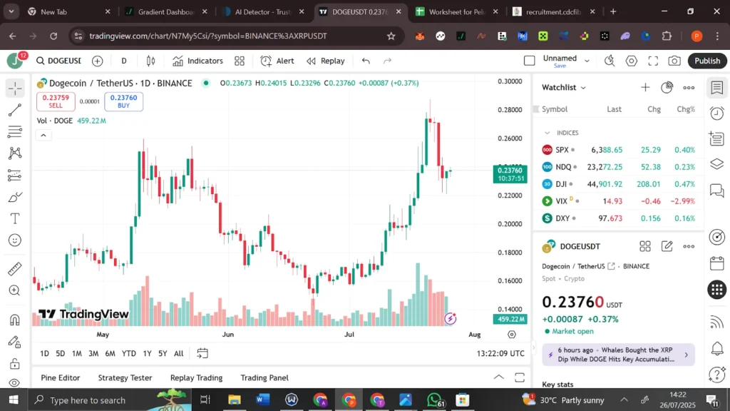 DOGE usd
