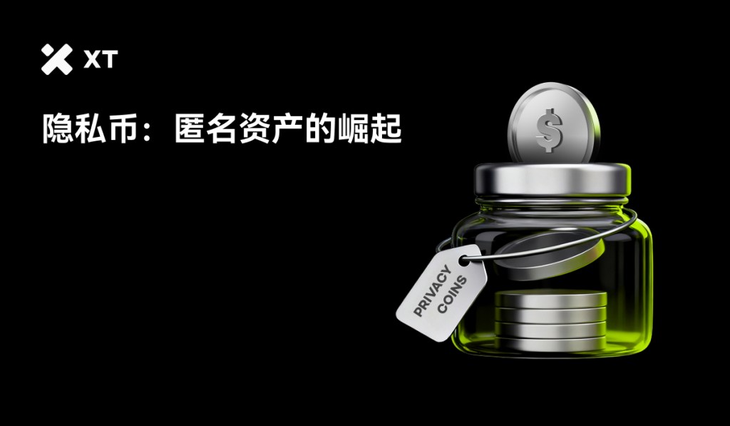 隐私加密货币价格飙升：市场与趋势深度剖析