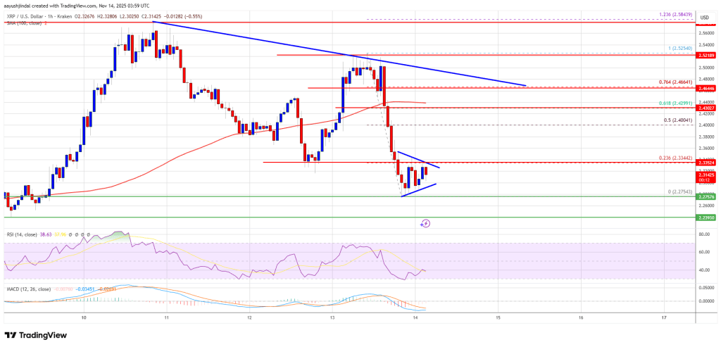 XRP Price Turns Red as Bulls Step Back and Bears Test Market Strength