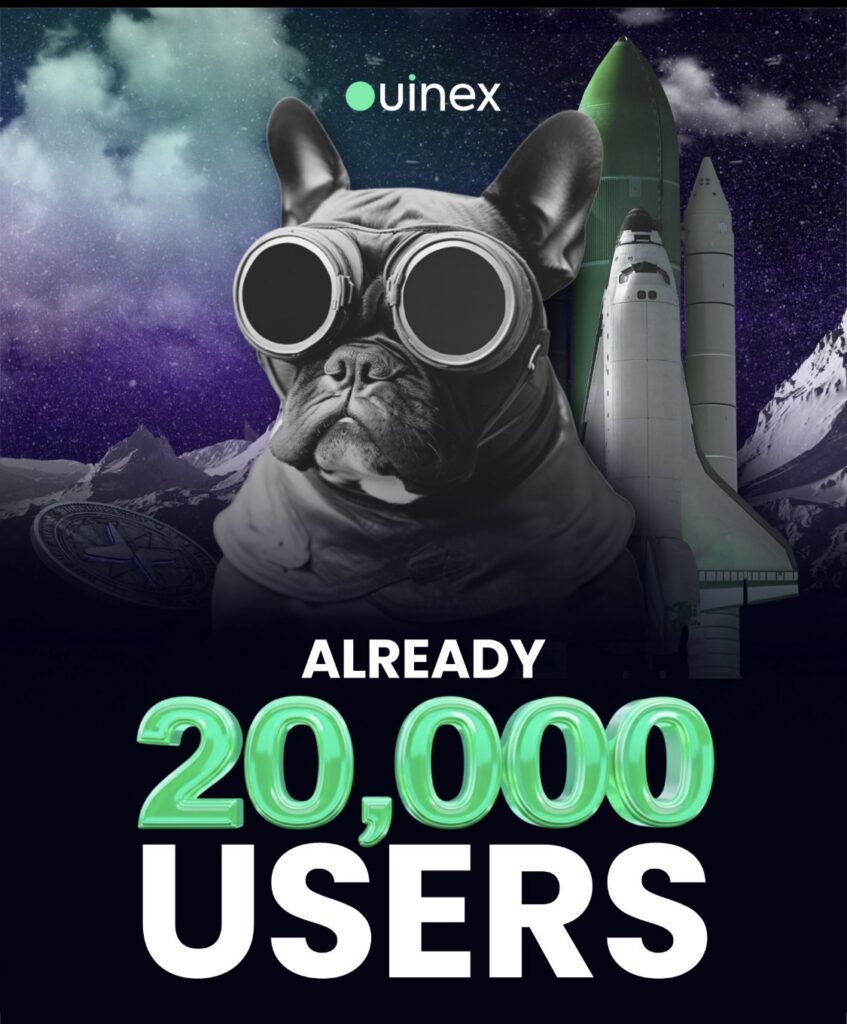 Ouinex 538358 1