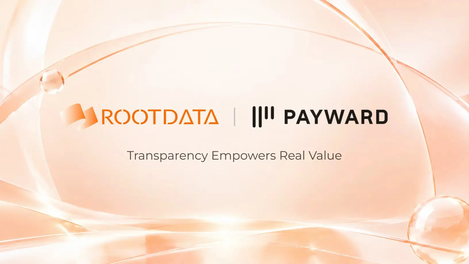 从 Binance Alpha 到 Payward:RootData 已成为更多机构信赖的代币化资产数据层