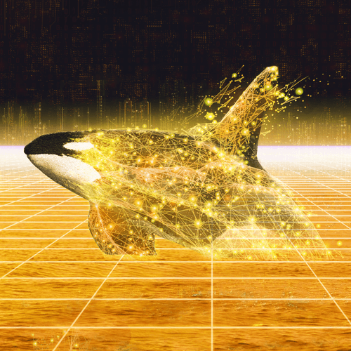 Whales Worldwide 2022