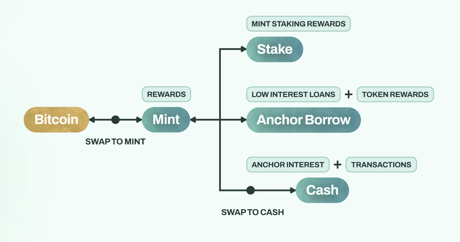 继承Terra遗志，Mint  Cash能否超越UST当年荣光？