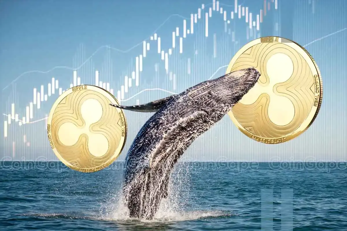 XRP News: Ripple Whales’ Massive Buying Hints At Rally To $3