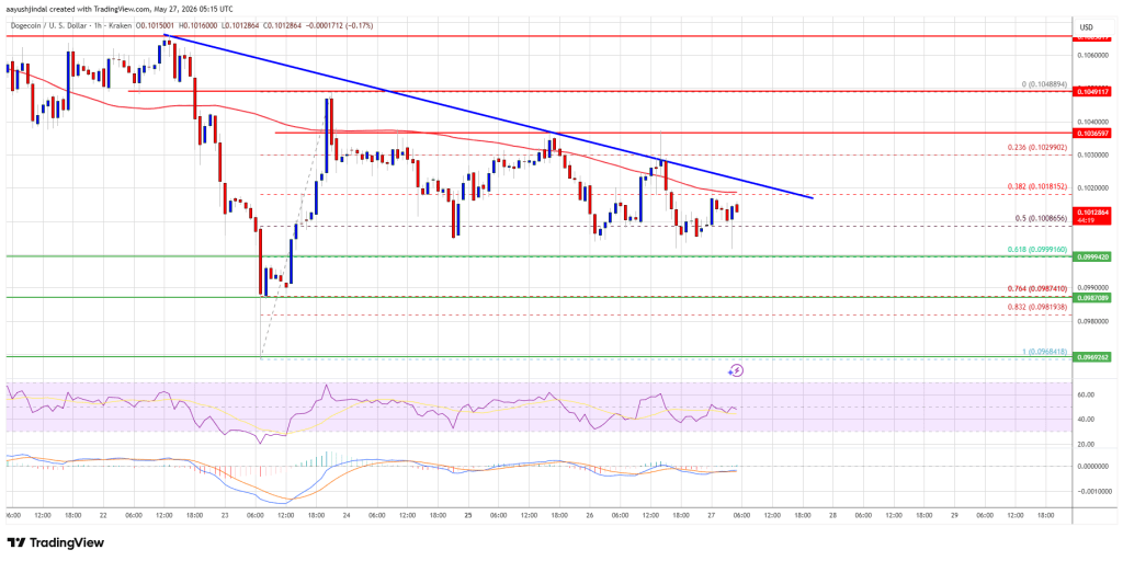 Dogecoin (DOGE) Under Pressure Again As Bears Eye Lower Levels