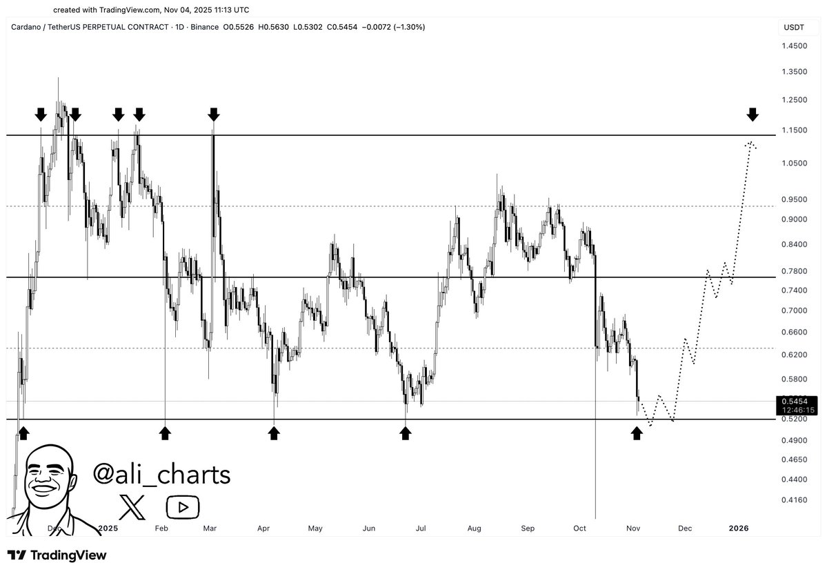 Cardano Retests Line That Has Triggered Strong Rebounds Since Nov 2024