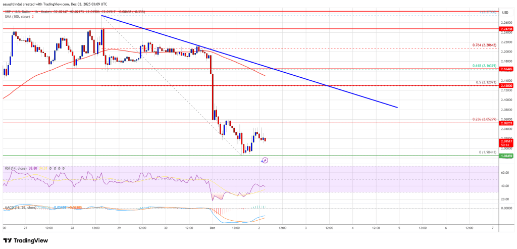 XRP Price Hovers at Key Support, Fueling Debate Over Incoming Breakout
