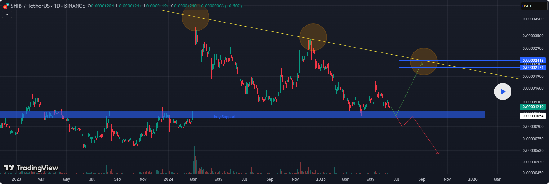 Here Are Two Scenarios That Could Shape Shiba Inu Price Path