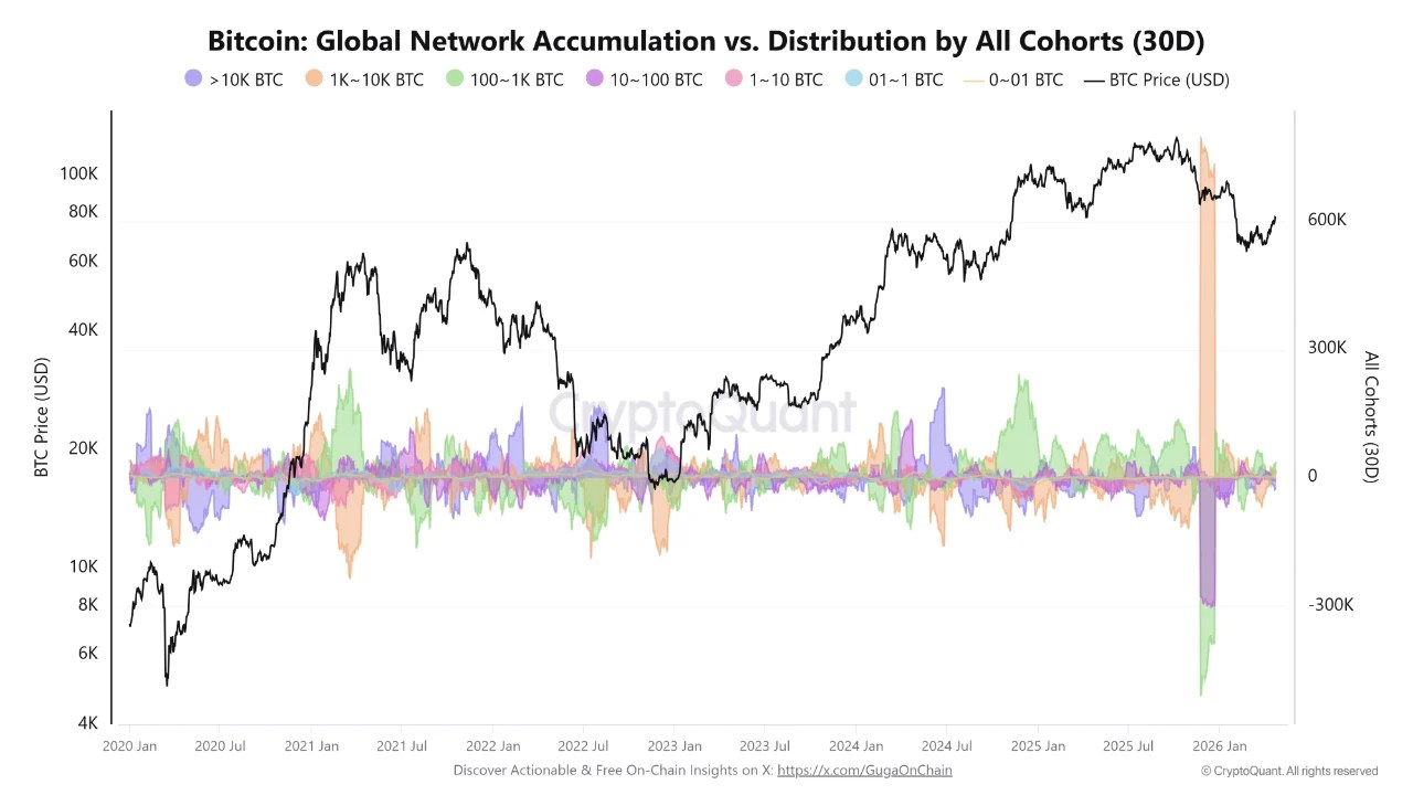 Bitcoin ‘Sharks’ Silently Accumulate Amid Market Uncertainty — Details