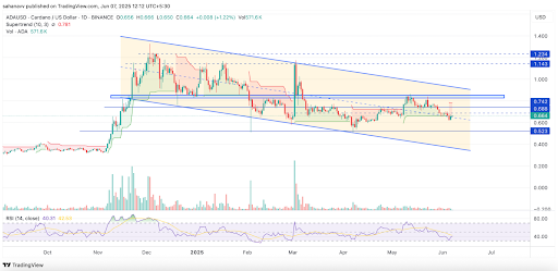 cardano price