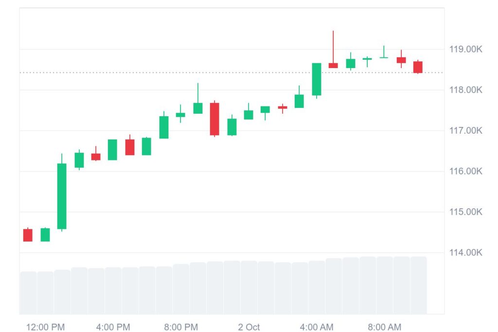 Bitcoin Price Chart