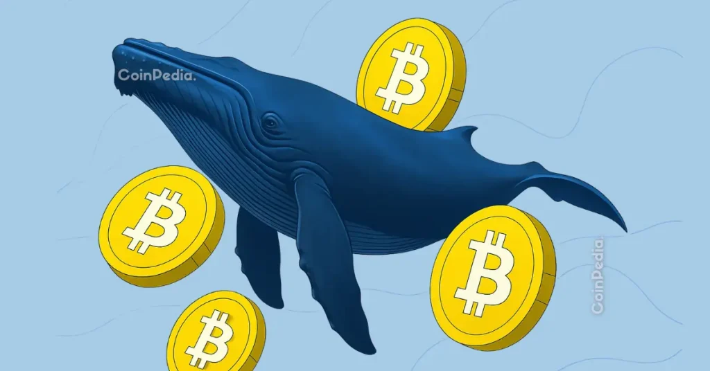 Whale Buying Is No Longer a Bullish Signal—BTC Drops Below $90K Despite Heavy Accumulation