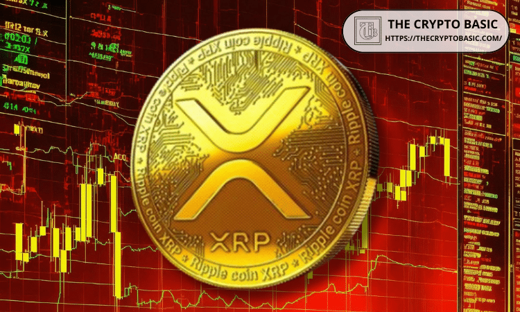 Here’s Roadmap to Turn $10,000 in XRP Into $500K or $1 Million