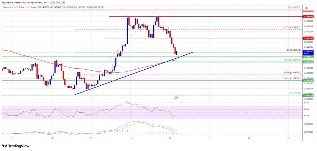 Dogecoin (DOGE) Meets Resistance and Hesitates, Market Tone Changes