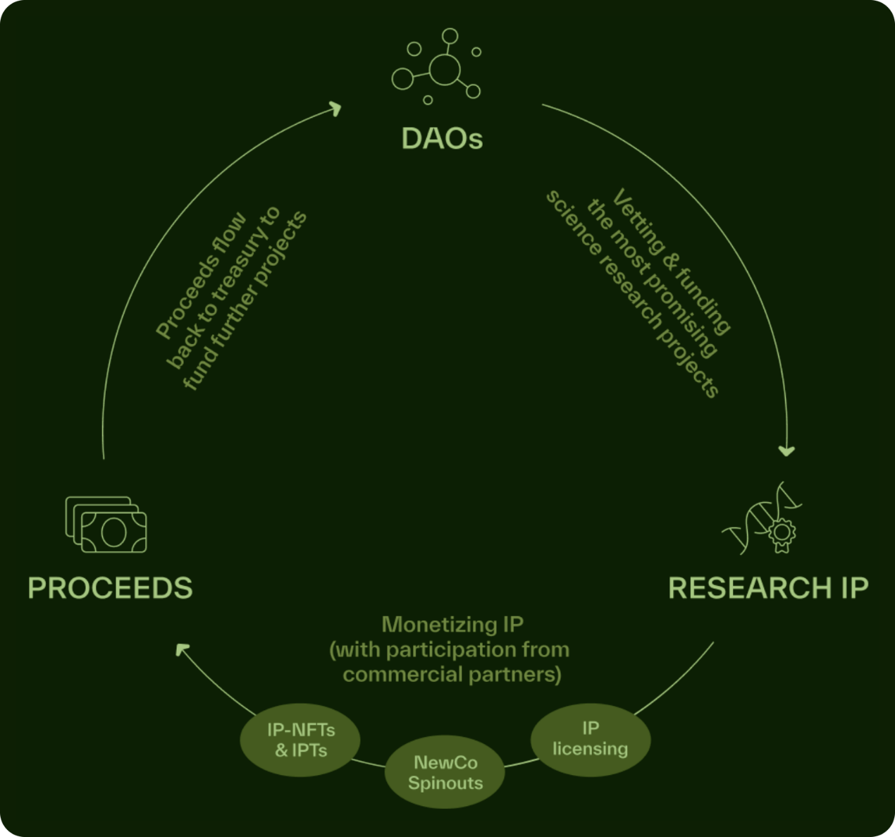 详解BIO Protocol及DeSci领域项目如何革新科研发展新范式