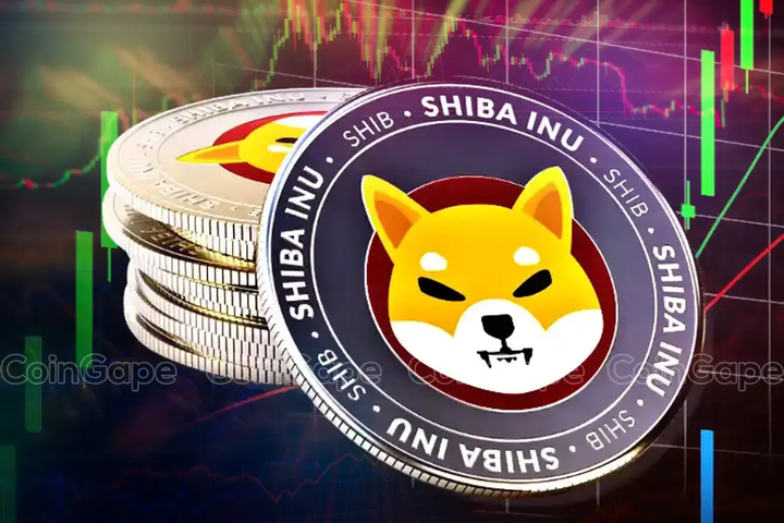 Is Shiba Inu Price Gearing Up For a 10X Rally in Q1?