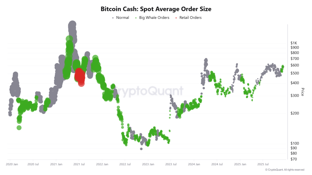 Bitcoin Cash Price Gains Momentum as Merchant Adoption Surges and Whales Accumulate
