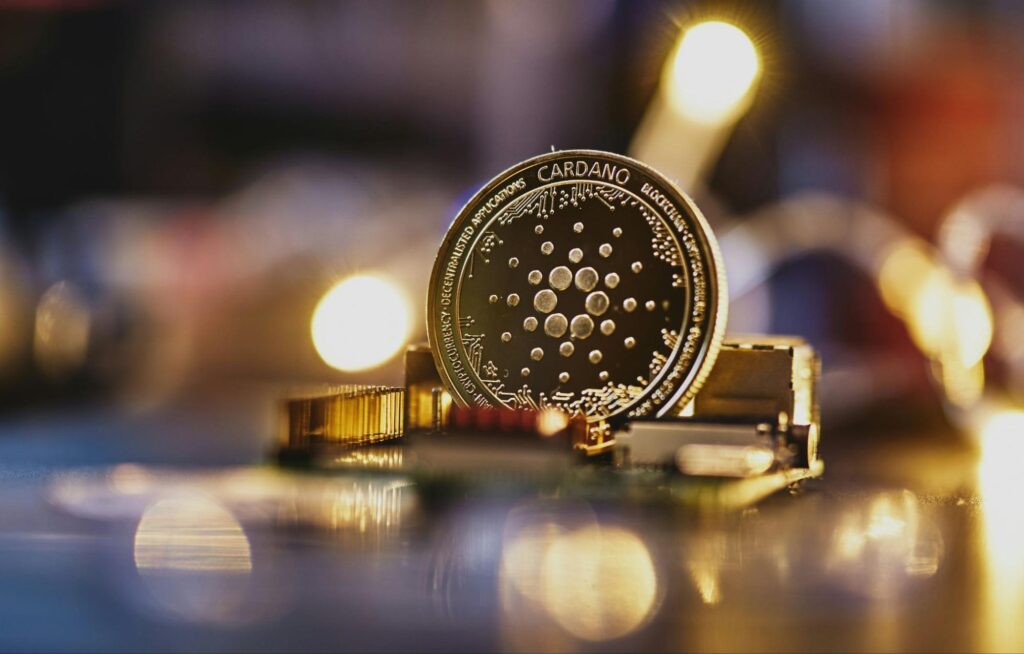 Coins42542