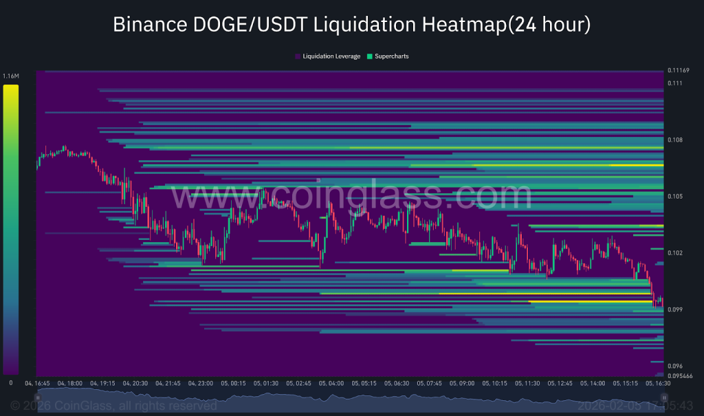 DOGE Liquidation
