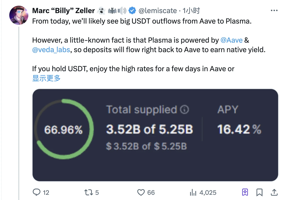 稳定币公链Plasma公募今晚开门，5亿美元估值还要参与吗？