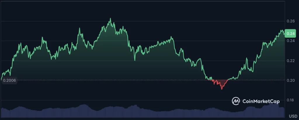 polygon usd