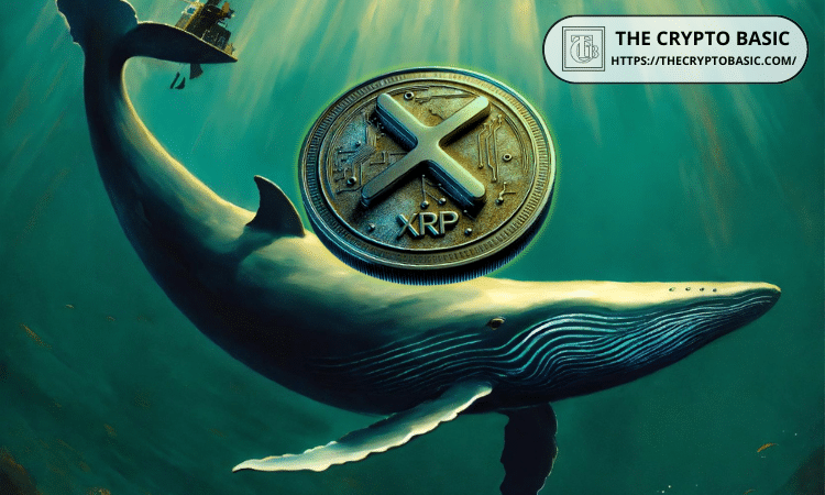 XRP Whales Capture Record 77.8% of Exchange Outflows as Retail Activity Slumps