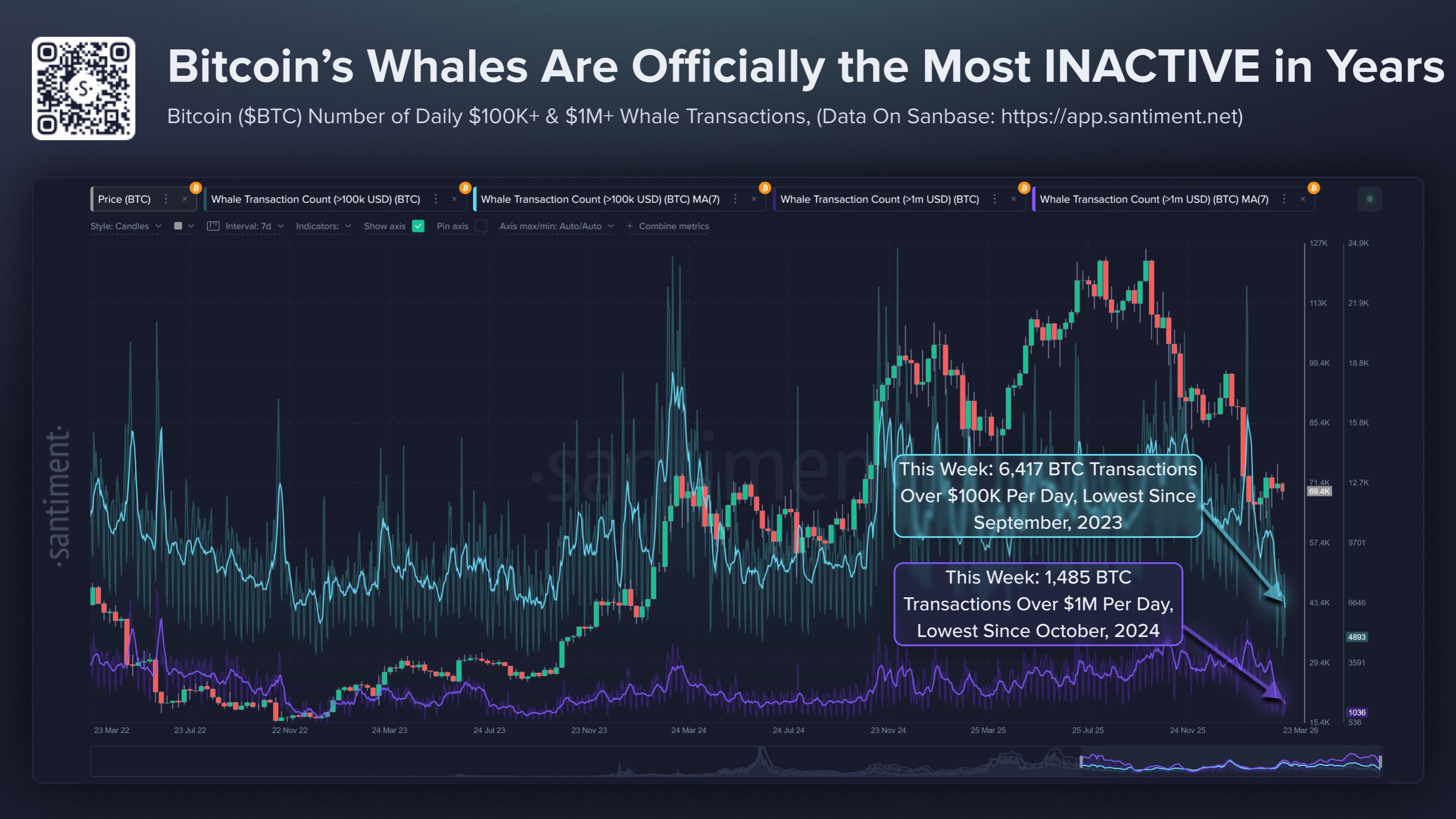 Bitcoin Whales Go Silent: Large Transactions Plummet