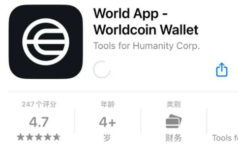 除了Worldcoin，还有那些热门的身份认证项目？