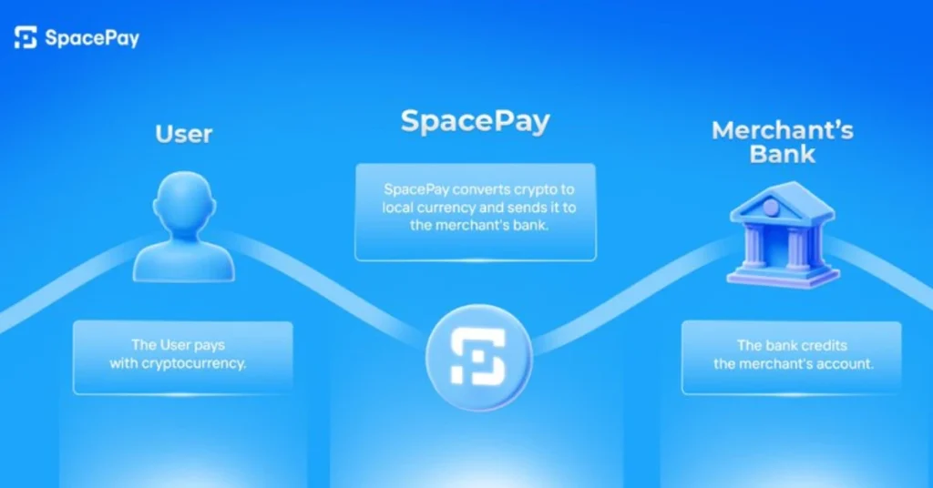 Why SpacePay Could Disrupt the Payment Industry in Just a Few Years: Presale Ongoing