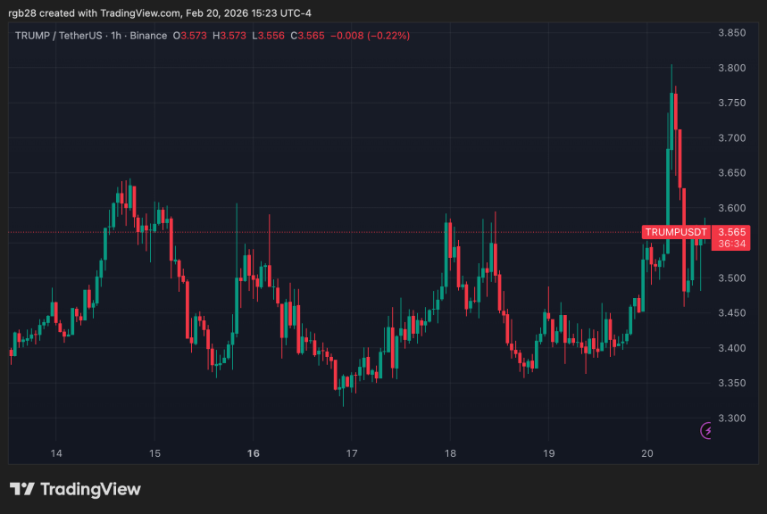 Investors In Trump Family Memecoins Record $4.3 Billion In Losses As Tokens Sink