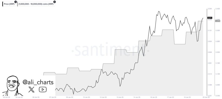 XRP Whales Keep Loading Up Their Bags – 100 Million XRP Accumulation In 48 Hours