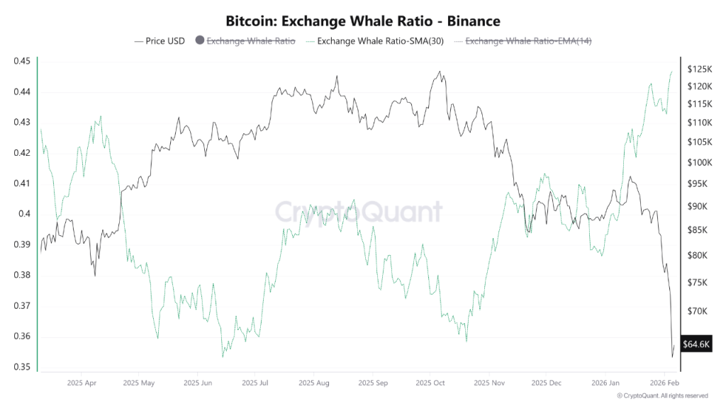 Is BTC Price Staging a Relief Rally or a Dead Cat Bounce? Can BTC Price Hold the Weekly 200-EMA Support?
