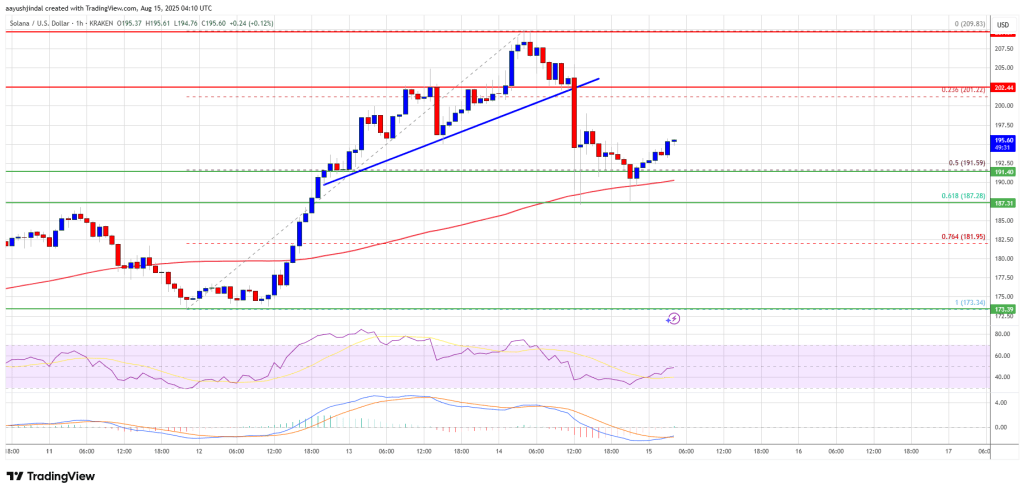 Solana (SOL) Defends Critical Support Zone, Preparing for Next Major Increase?
