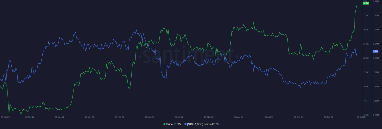 veDAO研究院：BTC连续暴涨的背后，大牛市在即？