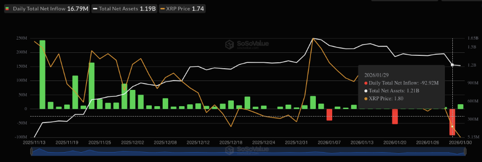 Rising Above The Ashes: XRP ETFs Set New Record Despite Market Crash