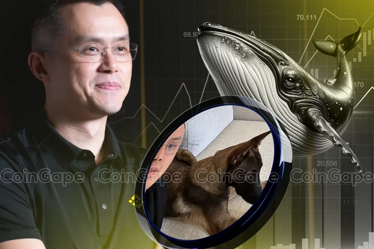 Crypto Whale Bets Big On CZ’s Dog, BROCCOLI Price Rockets 160%