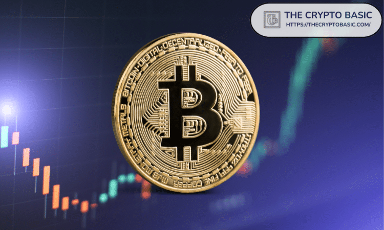 Bitcoin Has Not Yet Recorded the Profit Structure Reset Seen in Past Bear Markets